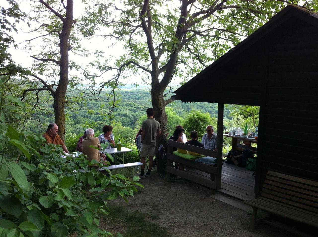 Traubengarten Winkler Niederhollabrunn Exterior foto